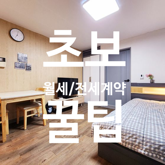 대구에서 월세 계약할 때 초보가 가장 헷갈려하는 항목 정리