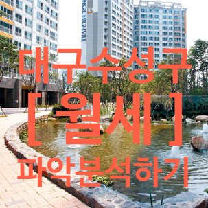 대구 수성구 월세 시세 2026년 정리｜30년 대구 토박이가 느낀 현실 체감