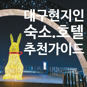 대구 사는 현지인 입장에서 지인•가족이 여행 온다고 하면 추천하고 싶은 숙소 리스트