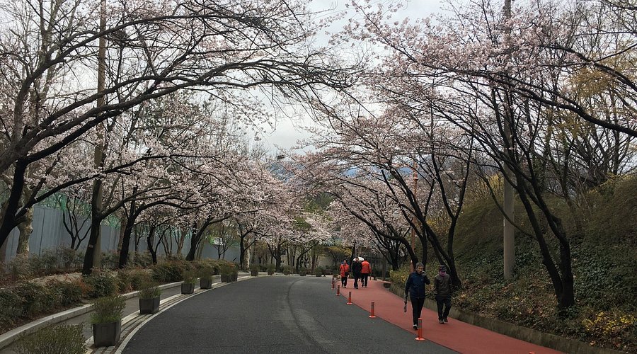 대구 가볍게 걷기 좋은 등산 코스 5곳｜초보도 부담 없는 산책 코스 추천 2026