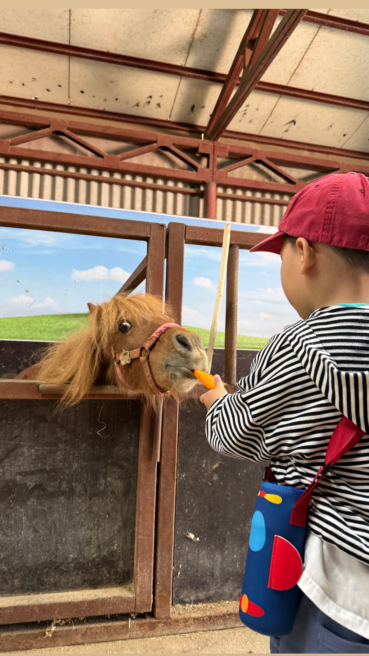 대구 아이 동물 체험 어디가 좋을까? 먹이주기·말타기 가능한 농장 TOP7 2026