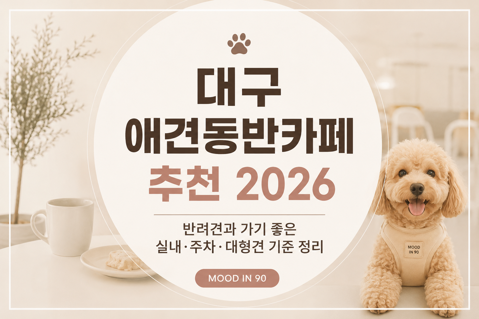 대구 애견동반카페 추천 2026｜반려견과 가기 좋은 펫러버 성지, 실내·주차·대형견 기준 정리