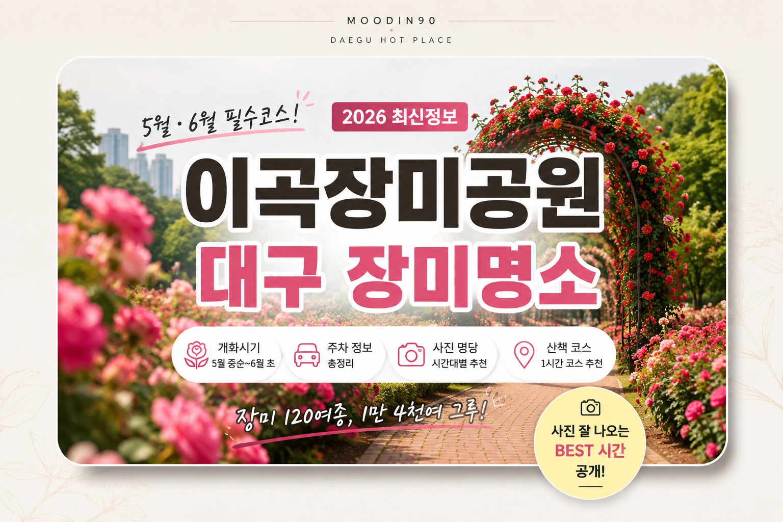 이곡장미공원 2026｜대구 장미공원 개화시기·주차·사진 찍기 좋은 시간