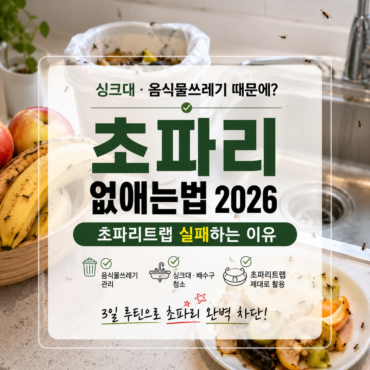 싱크대 초파리 없애는법 2026 – 음식물쓰레기·배수구·초파리트랩 순서