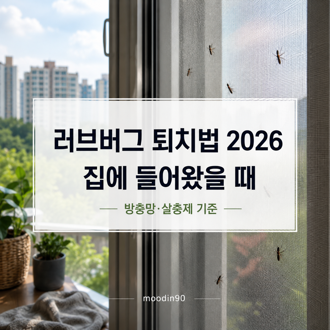 러브버그 퇴치법 2026|집에 들어왔을 때·방충망·살충제 기준