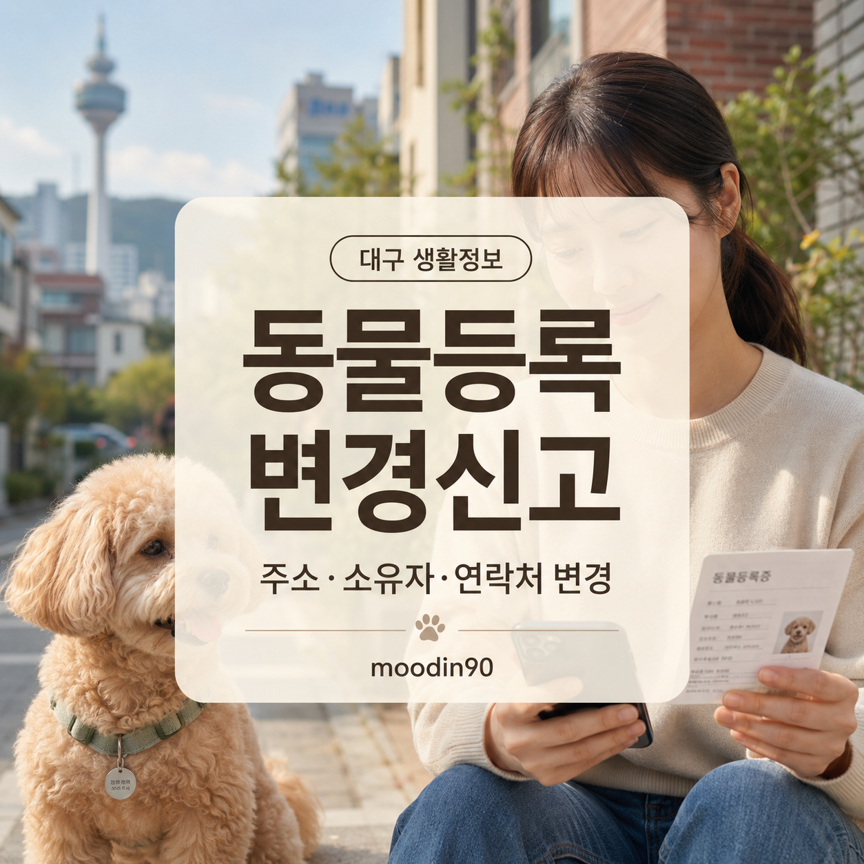 대구 동물등록 변경신고｜주소·전화번호·소유자 변경 방법