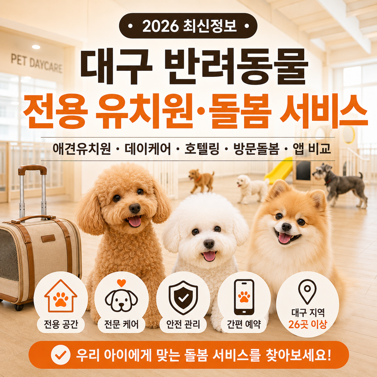 대구 반려동물 유치원 돌봄 서비스 2026 – 애견유치원·방문펫시터·앱 비교