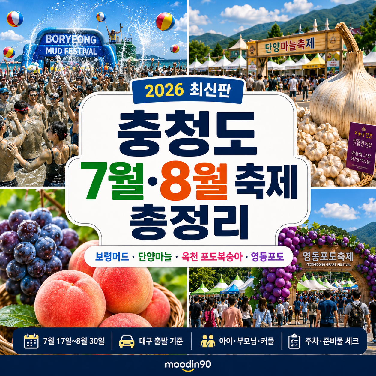 충청도 7월 8월 축제 2026 총정리|보령머드·단양마늘·옥천 포도복숭아·영동포도 일정
