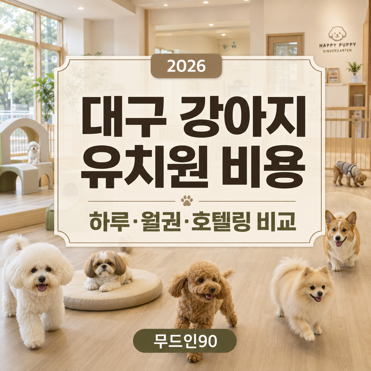 대구 강아지 유치원 비용 2026 – 하루·월권·호텔링 가격 비교
