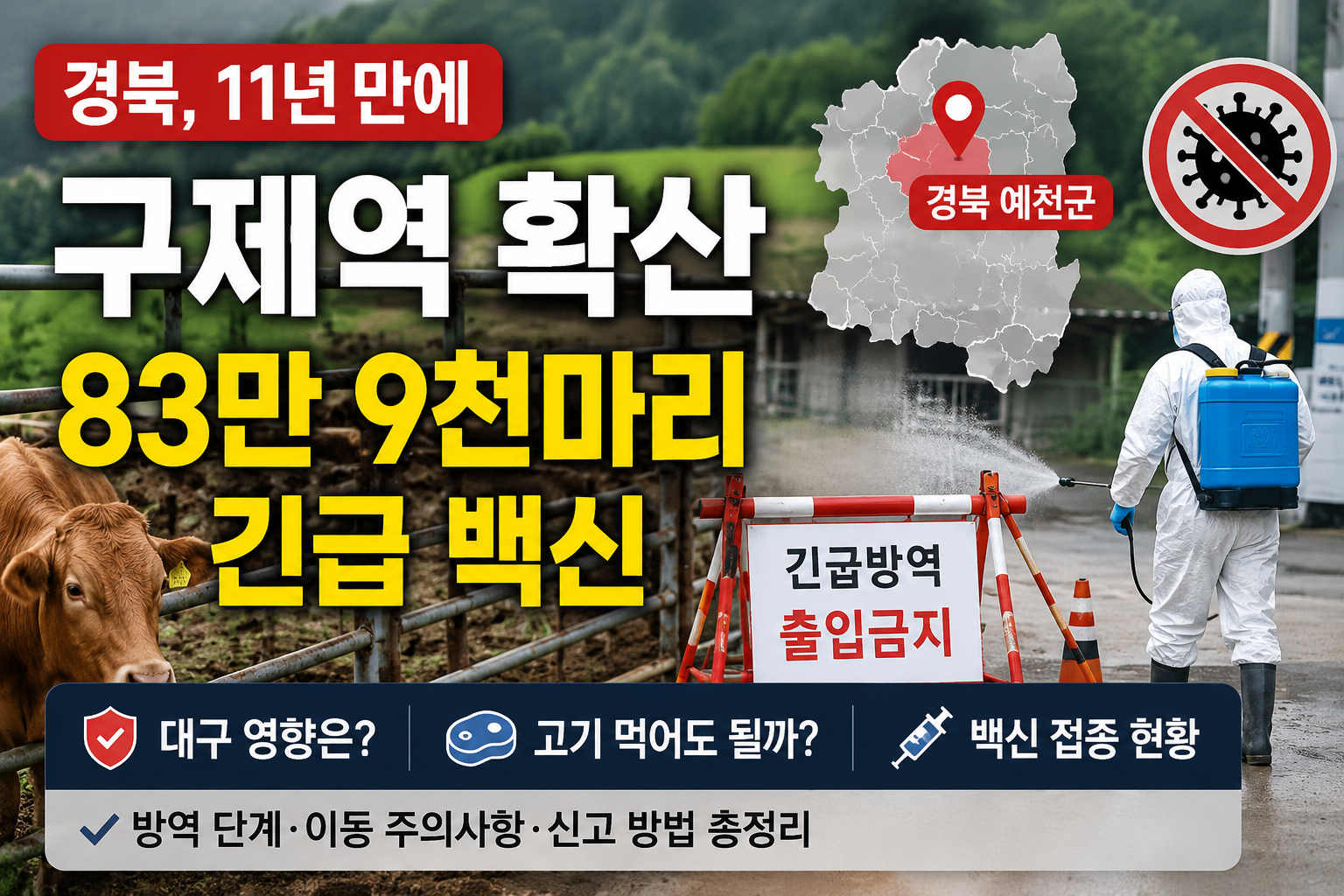 경북 구제역 2026 – 예천 발생·83만9천마리 긴급 백신, 대구 시민이 먼저 볼 것