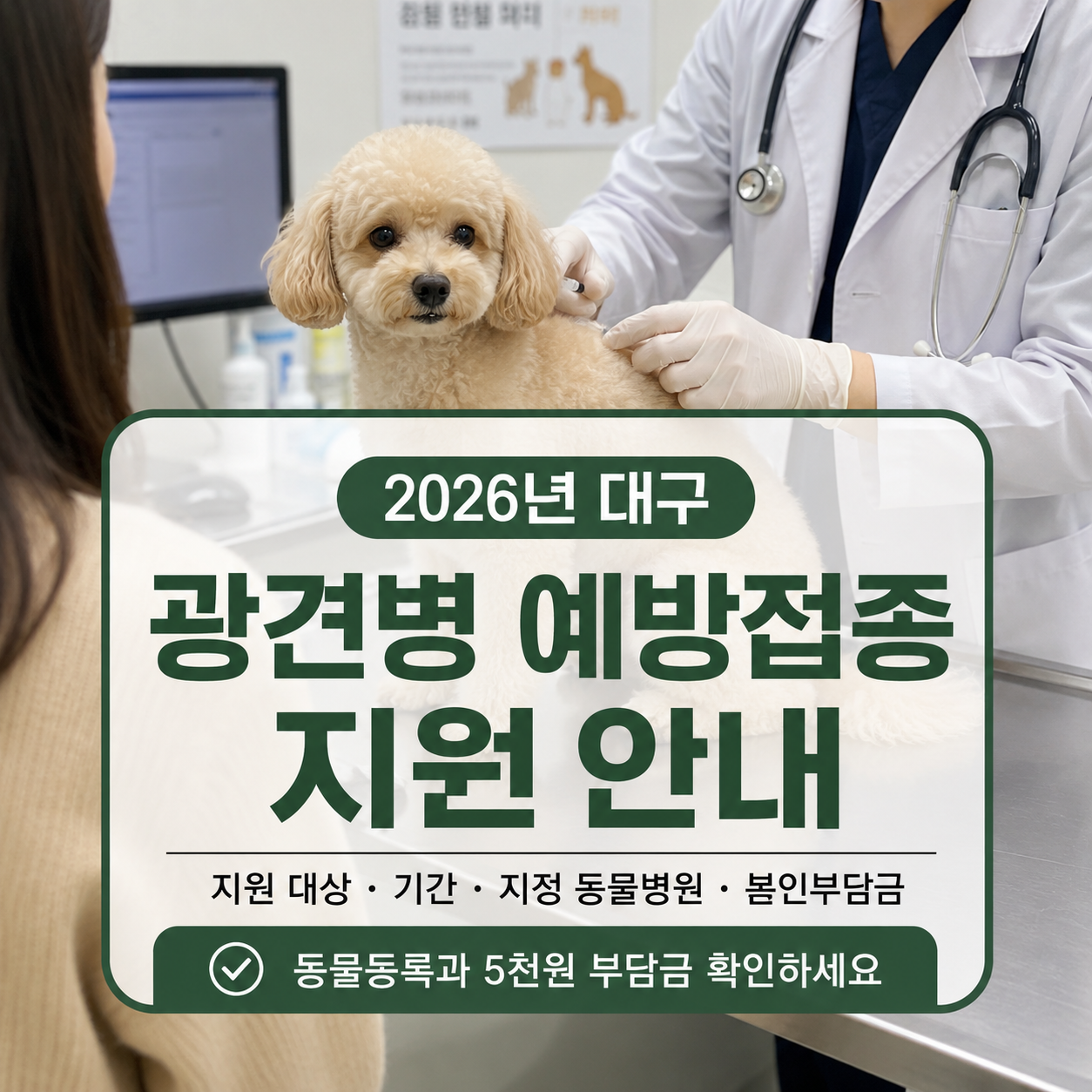 대구 광견병 예방접종 지원 2026｜가을 접종 전 동물등록·지정병원·본인부담금 확인