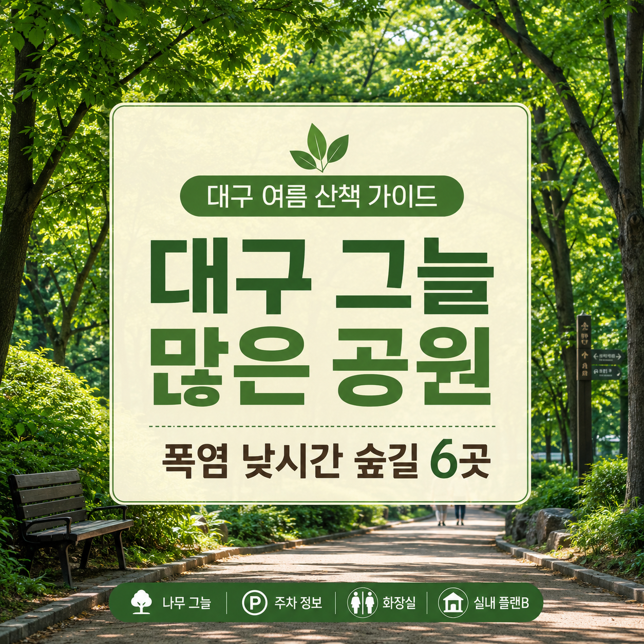 대구 그늘 많은 공원 6곳|폭염 낮시간 숲길 코스
