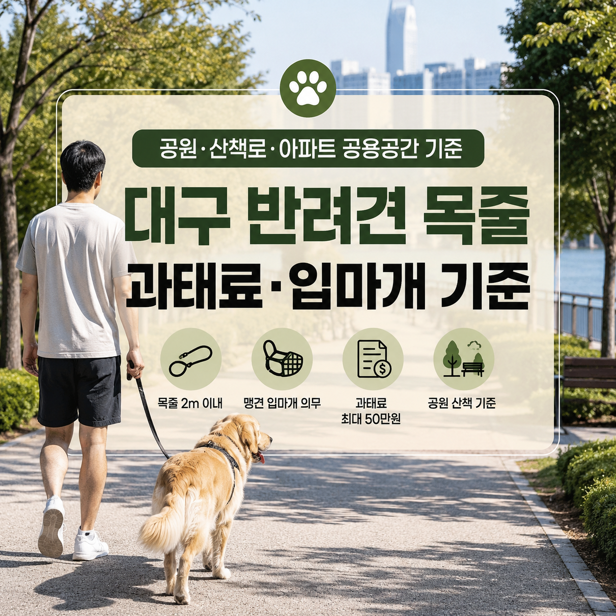 대구 반려견 목줄 과태료|대형견·맹견 입마개 기준