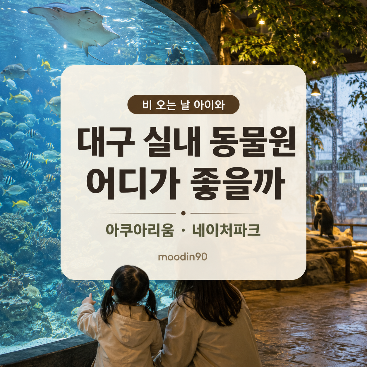 대구 실내 동물원｜대구아쿠아리움·네이처파크 비 오는 날 비교