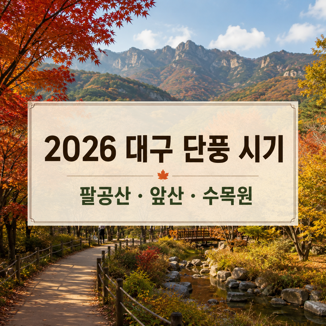 2026 대구 단풍 시기｜팔공산·앞산·대구수목원 절정 예상
