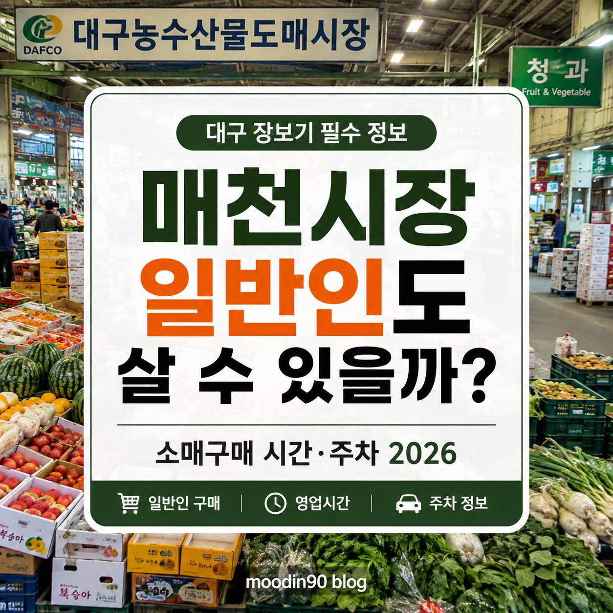 대구 매천 농수산물도매시장 일반인 구매｜영업시간·주차 2026