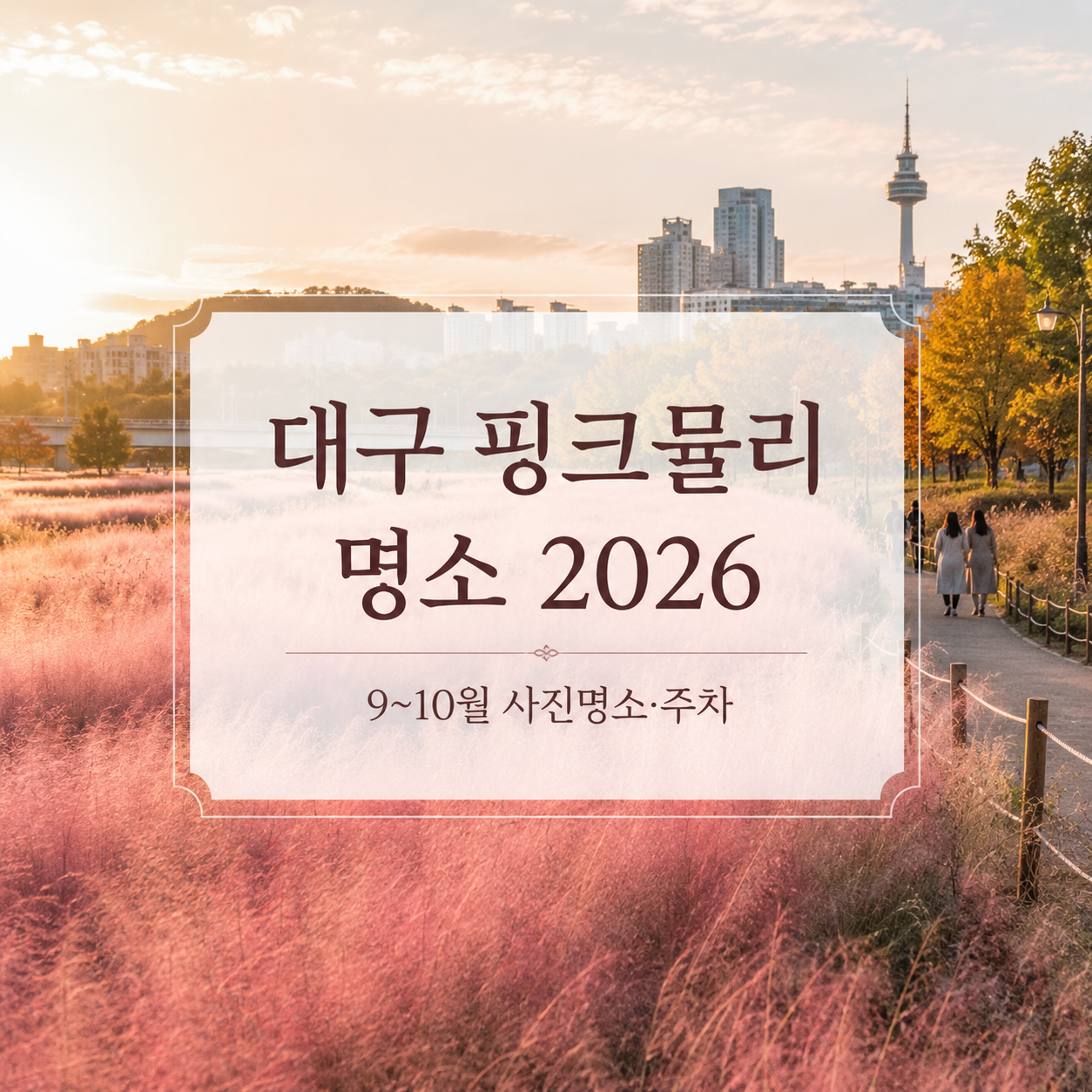 대구 핑크뮬리 명소 2026｜신서중앙공원·논공꽃단지·송해공원